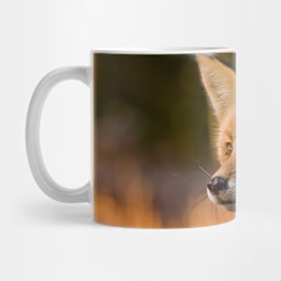 Red Fox Mug